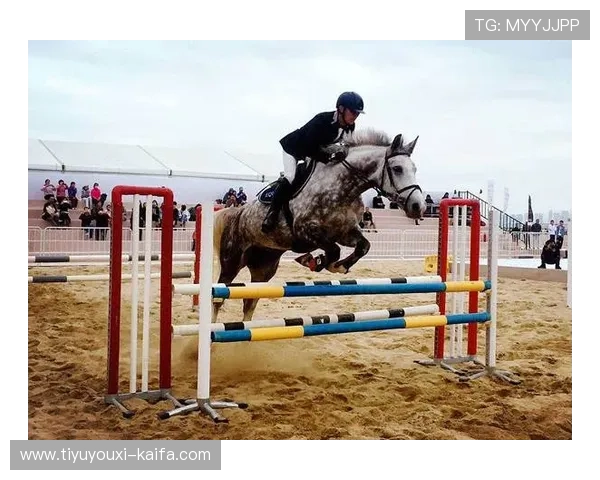 凯发国际k8直播提供高清流畅的赛事直播服务让你尽享体育盛宴