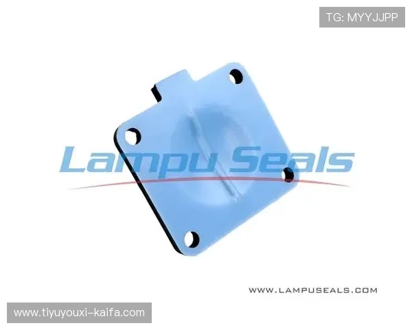 凯发k8官方网站登录入口操作步骤详解让新用户快速上手登录流程