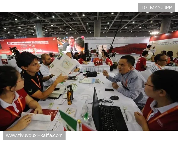 凯发娱乐集团在全球市场的布局与合作伙伴关系，助力企业国际化发展的详细分析